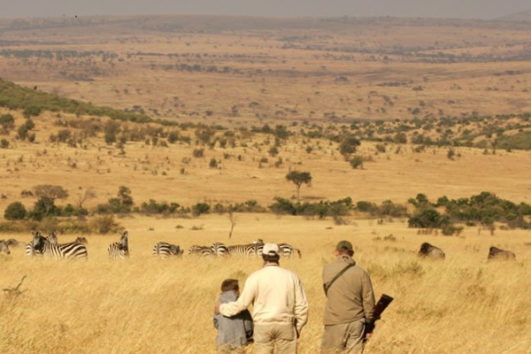 Walking Safaris