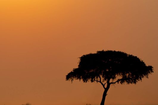 Sunset in Tanzania